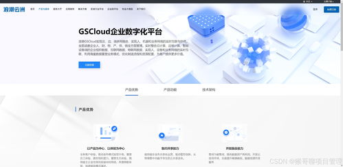 2025国产项目管理软件top10 适配信创系统实测报告