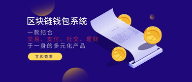 vds钱包系统软件开发定制