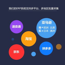 erp源头亚马逊erp系统,贴牌,功能定制,独立部署